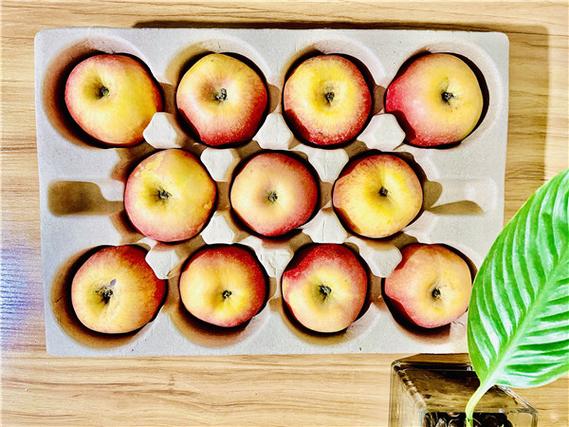 Fruit Packaging Tray