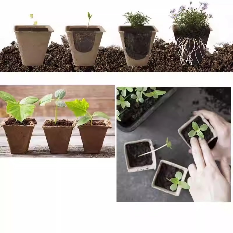 Biodegradable Seedling Pots