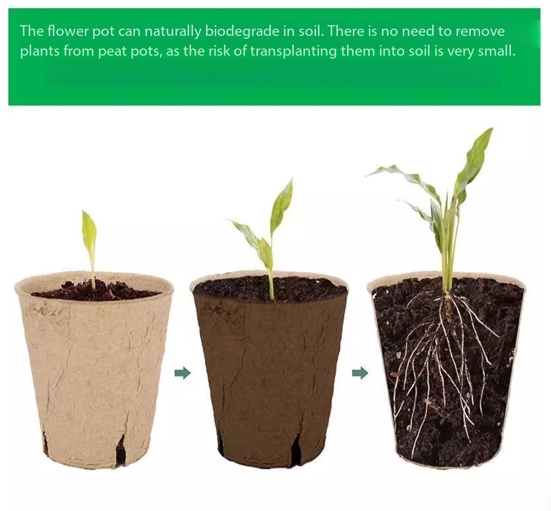 Pulp Seedling Pots