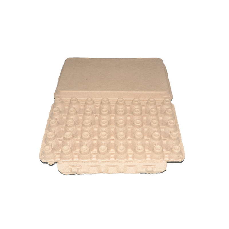 Quail Egg Pulp Tray Quail Egg Pulp Tray