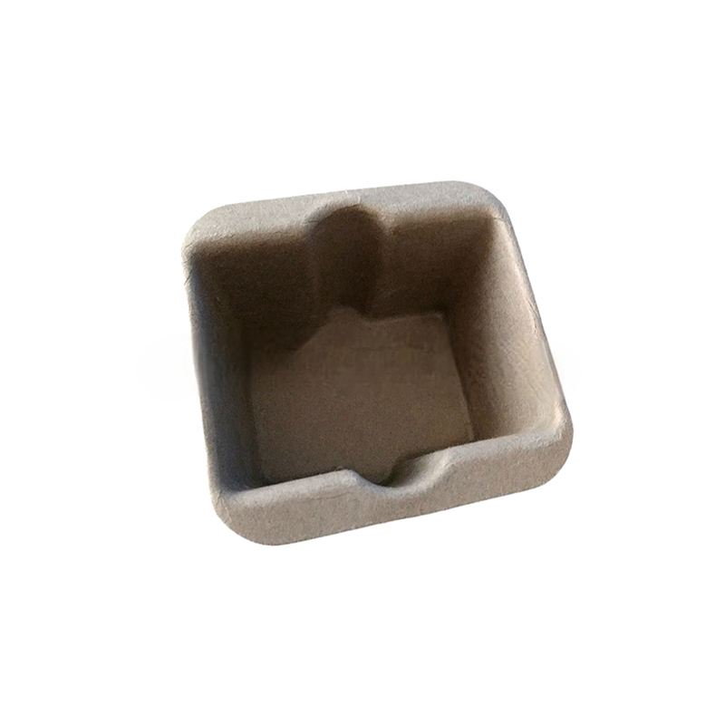 Watch Packaging Pulp Tray