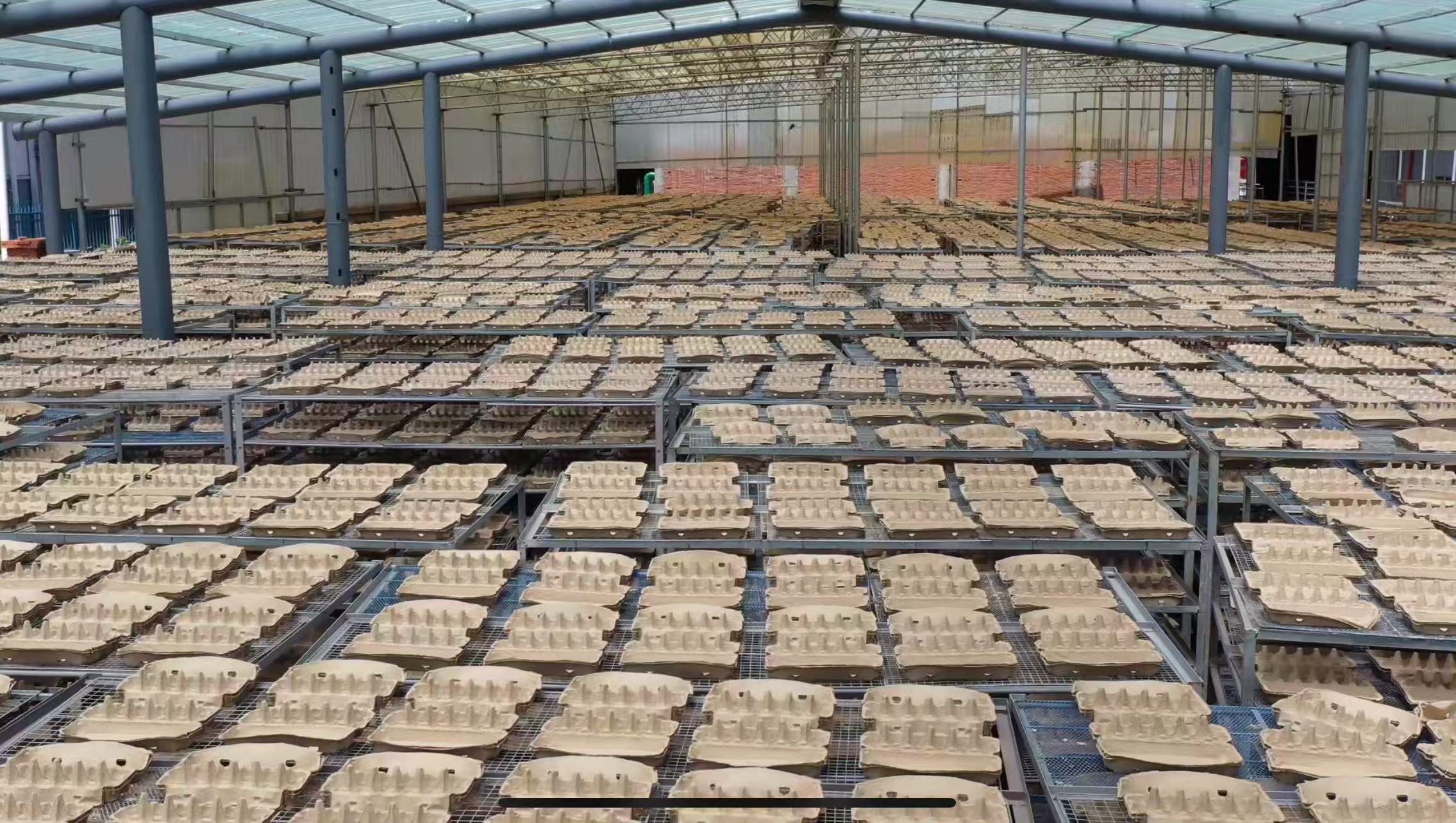 Hanyang Company Profile: Manufacturing Capabilities & Strengths