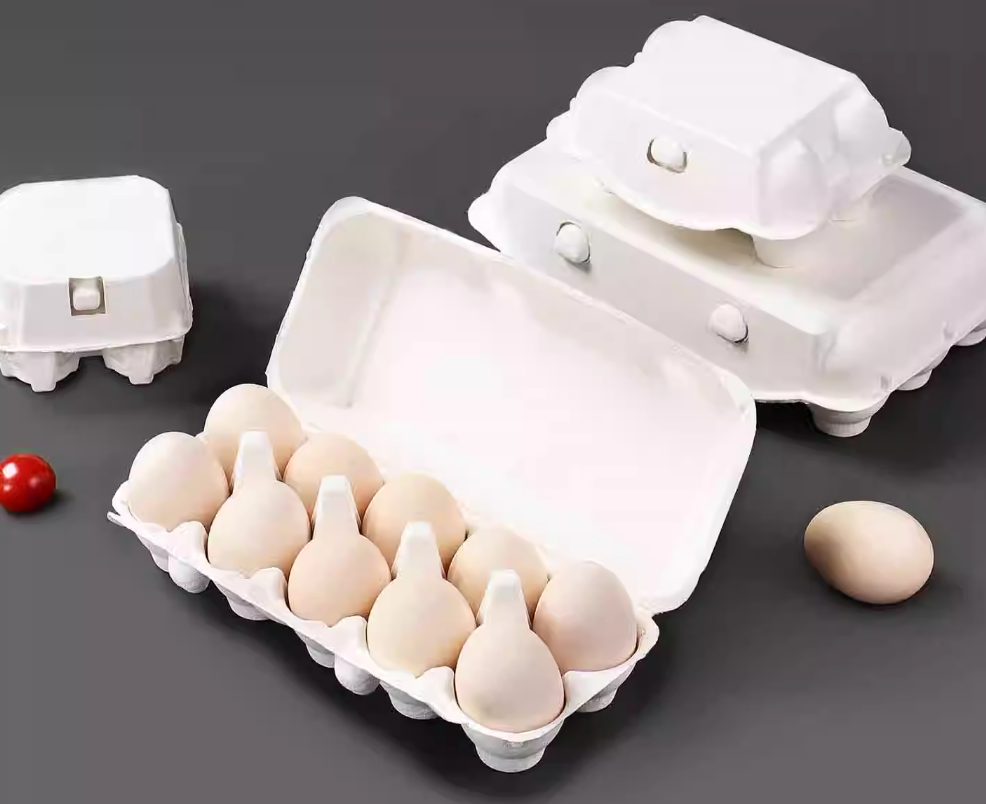 Die Wissenschaft hinter hochwertigen Eierkartons aus Zellstoff