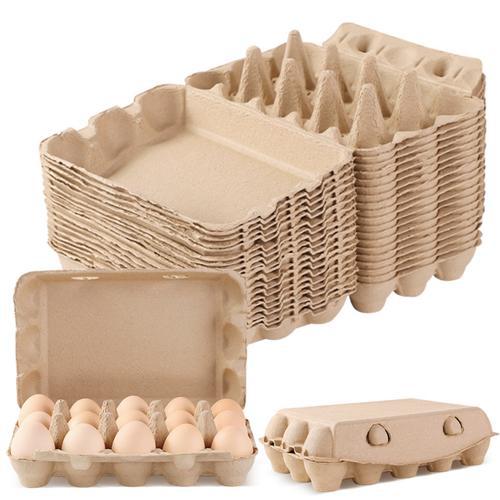 Die entscheidende Rolle der Zellstoffaufbereitung bei der Eierkartonherstellung