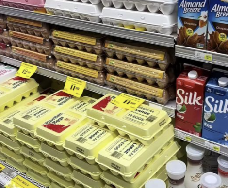 Wie ein „Pulp Mixing Master“ sicherstellt, dass Ihre Eierkartons den US-Qualitätsstandards entsprechen