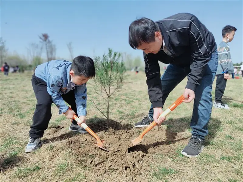 How Our Pulp-Based Company Gives Back Through Annual Tree-Planting