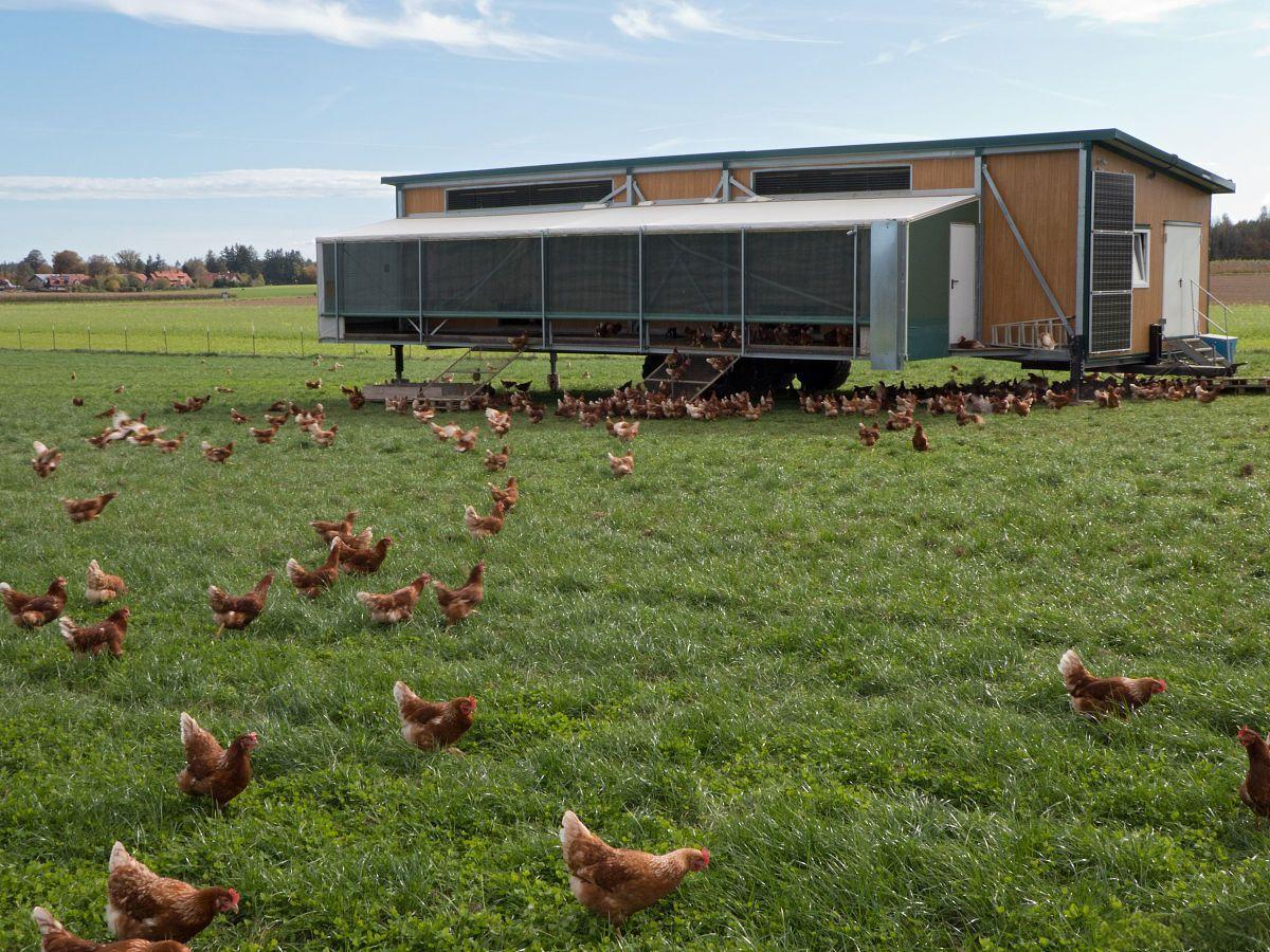 ความร่วมมือด้านถาดไข่ที่ยั่งยืนของ ฮันยาง กับ เรา การเกษตร-ฟาร์ม