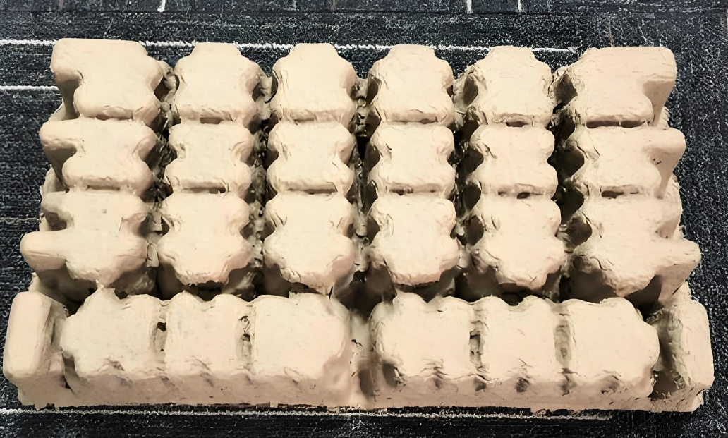 Recycled Pulp Tray