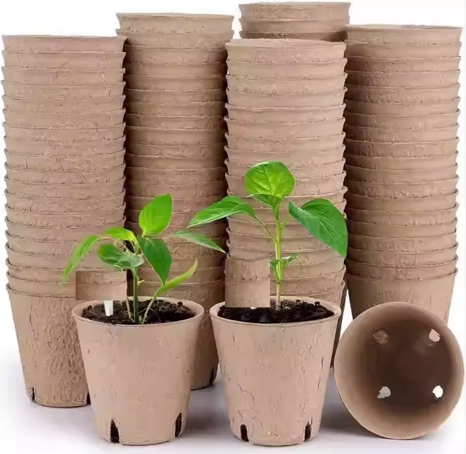 Molded pulp trays for berries Molded pulp trays for berries