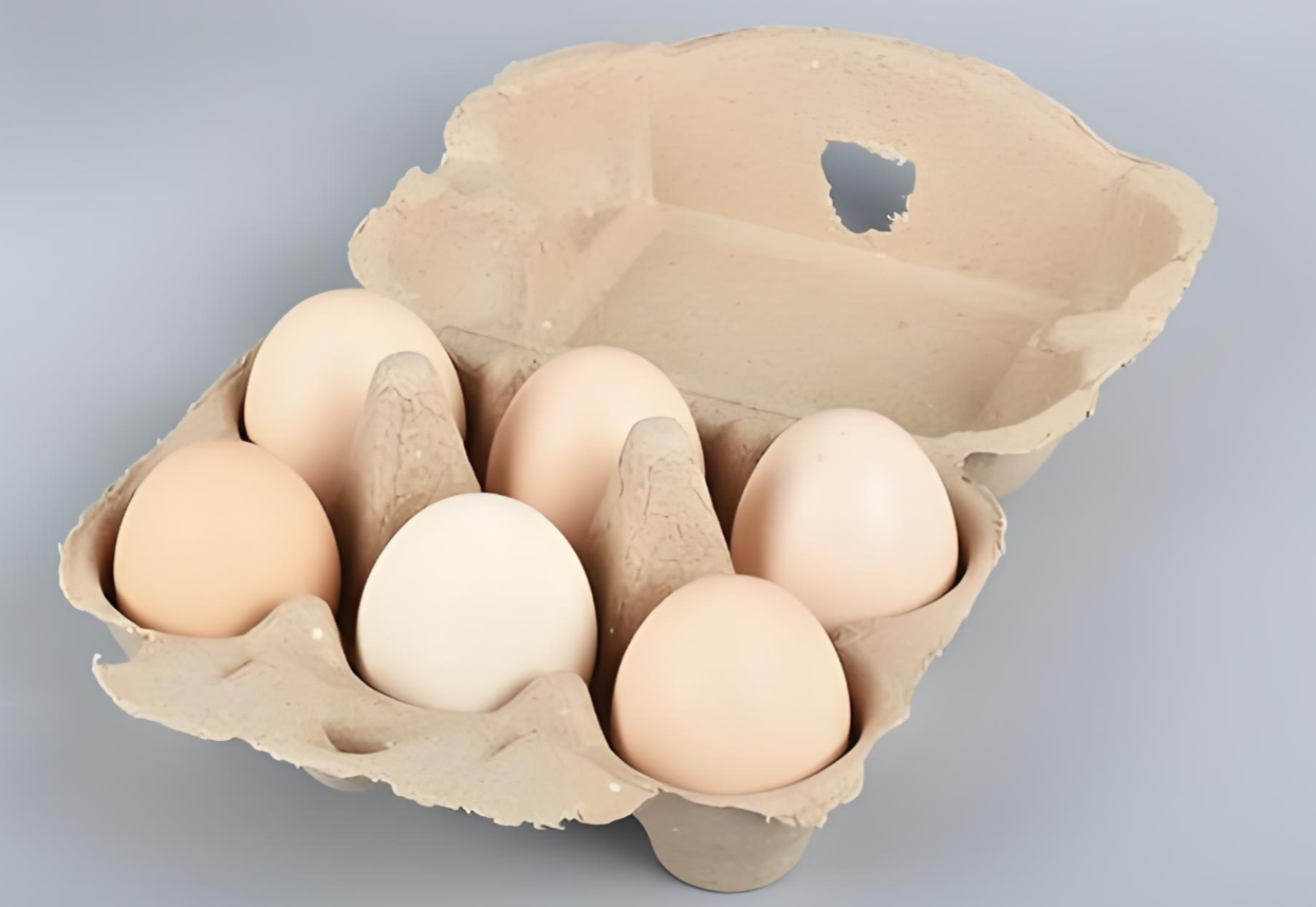 paper plastic products paper plastic products