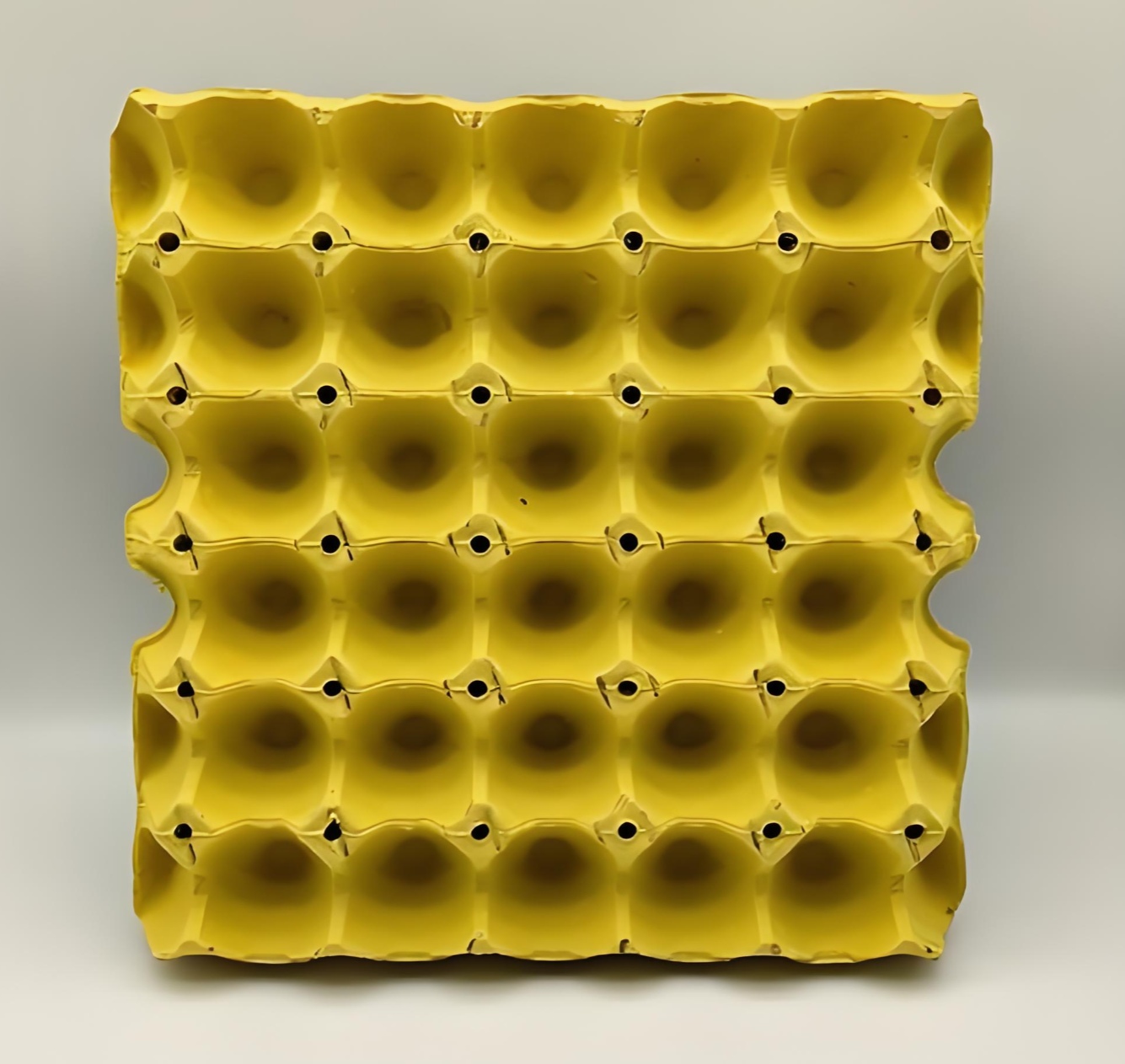 Hanyang's Molded Pulp Egg Trays Hanyang's Molded Pulp Egg Trays