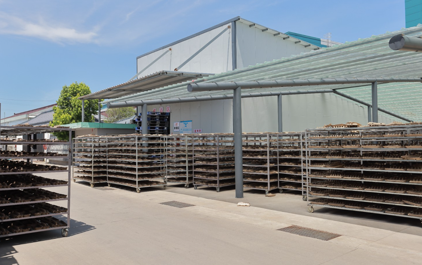 ถาดใส่ผลไม้ของฮันยาง: วัสดุกันกระแทกที่เป็นมิตรต่อสิ่งแวดล้อมสำหรับผลไม้ที่บอบบาง ถาดใส่ผลไม้ของฮันยาง: วัสดุกันกระแทกที่เป็นมิตรต่อสิ่งแวดล้อมสำหรับผลไม้ที่บอบบาง