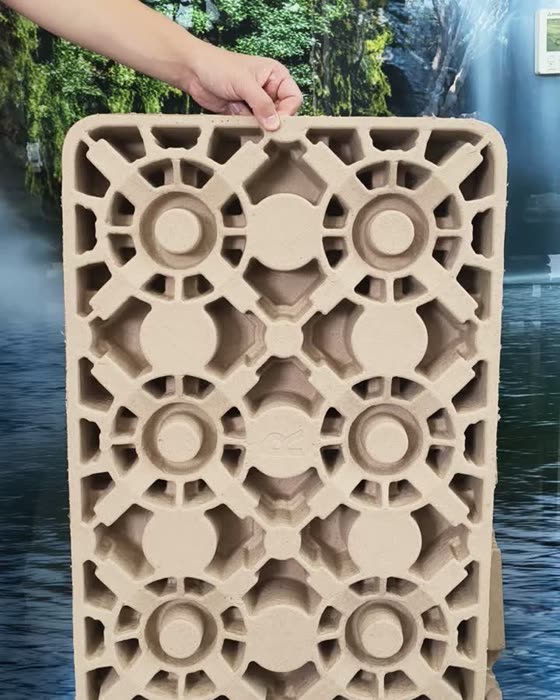 molded pulp packaging