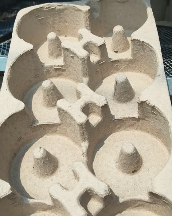 molded fiber packaging