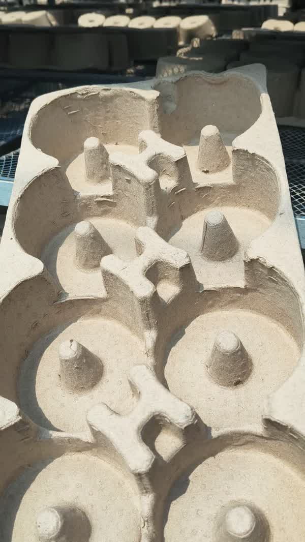 molded pulp drying process