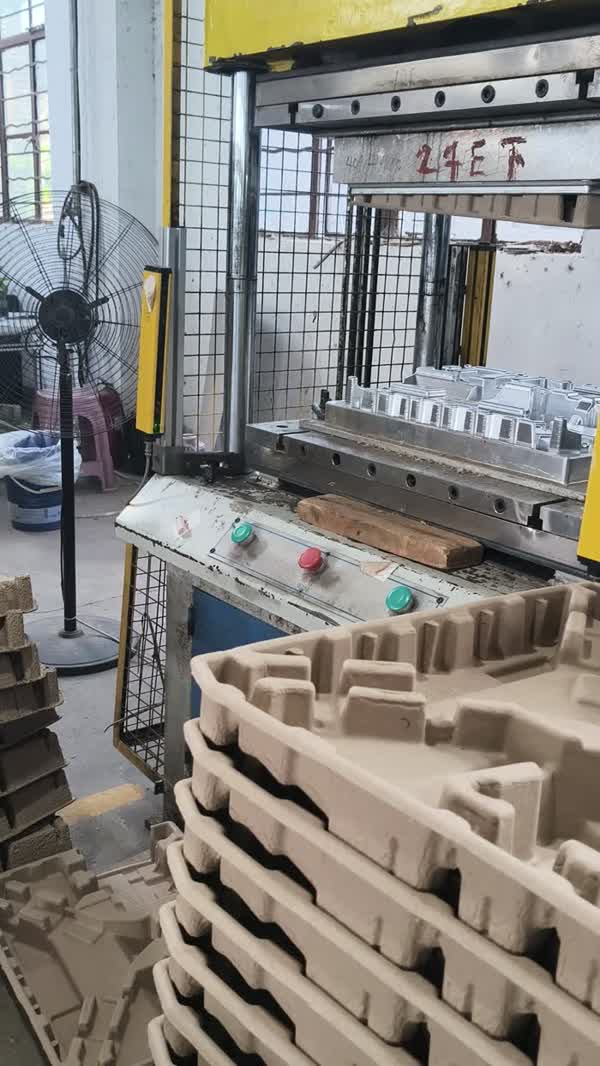 molded pulp drying process