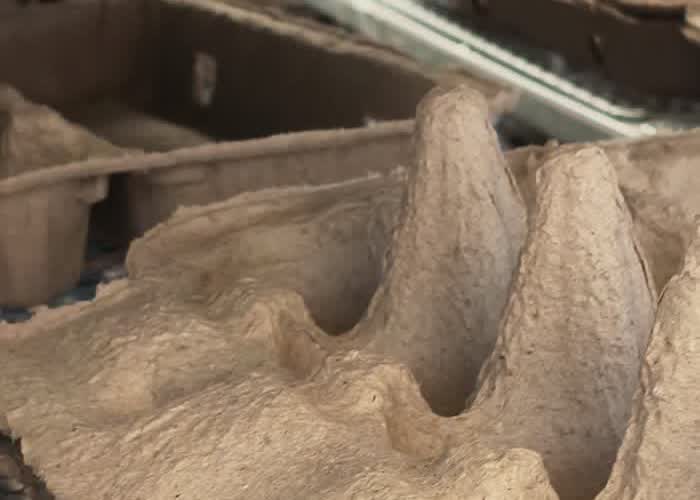 How to Control Moisture Before Exporting Molded Pulp Packaging