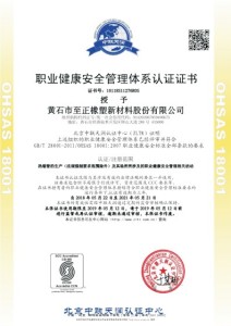 Health and Safety Management System Certificate
