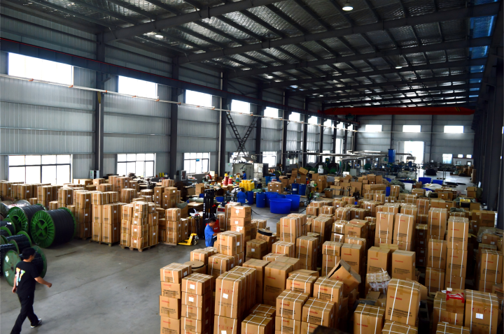 20+ Years of Expertise