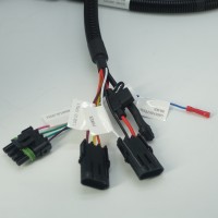 Custom Sensor Wire Harness Design & Manufacturing | Free Sample