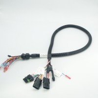Custom Sensor Wire Harness Design & Manufacturing | Free Sample