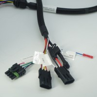 Custom Sensor Wire Harness Design & Manufacturing | Free Sample