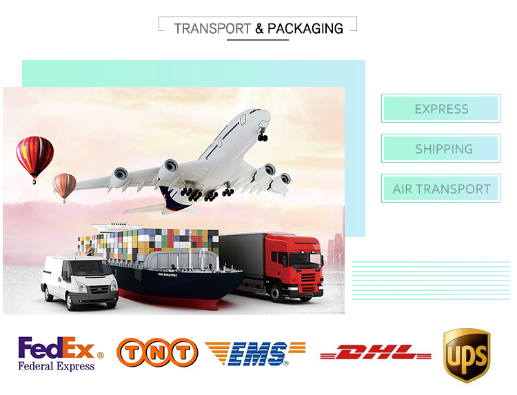 OEM ODM New Energy Wire Harness