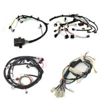 OEM ODM New Energy Wire Harness Factory Customization Fog Light Wiring Harness