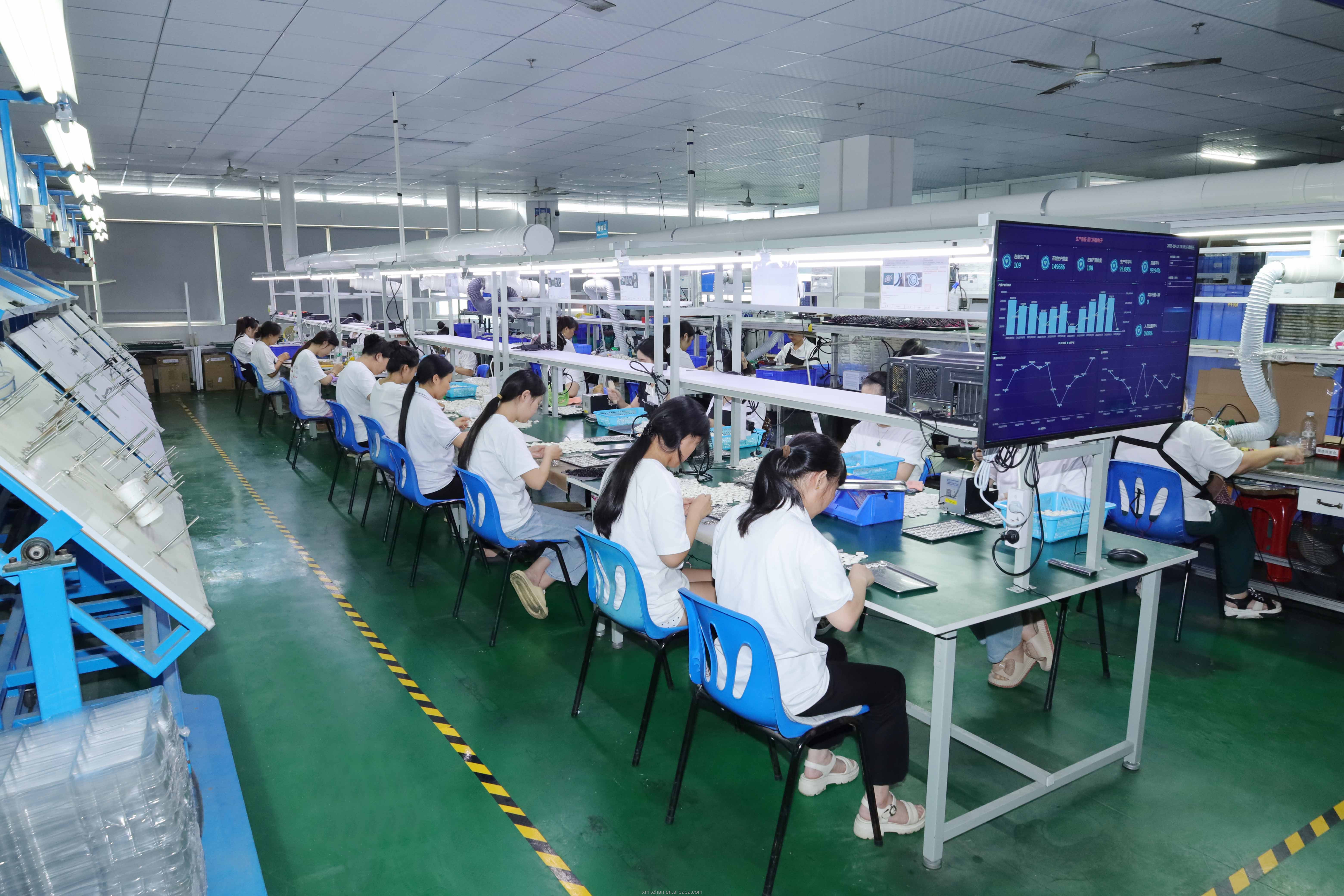 OEM China Factory Wiring Harness Assembly