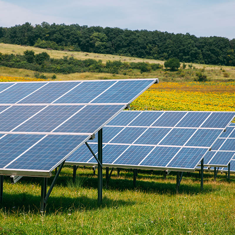 Farmland Solar Mount