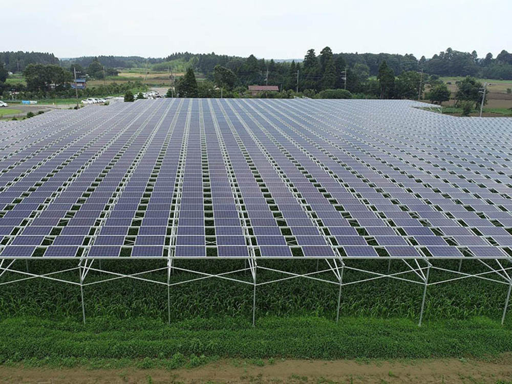 agricultural solar panel installation