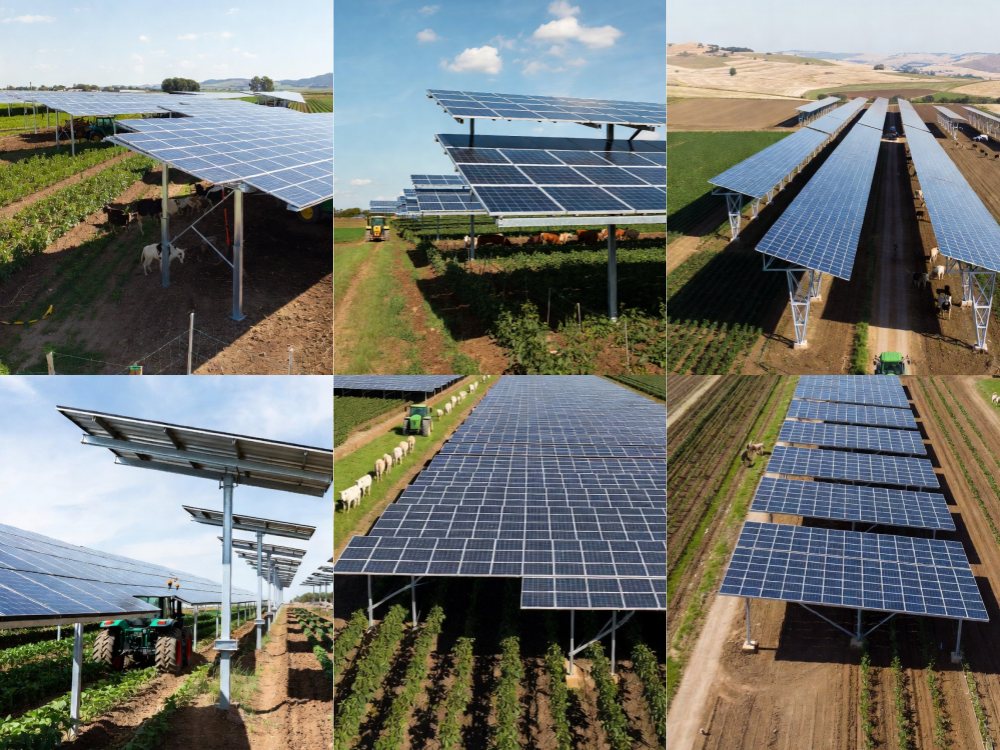 farmland solar mounting system