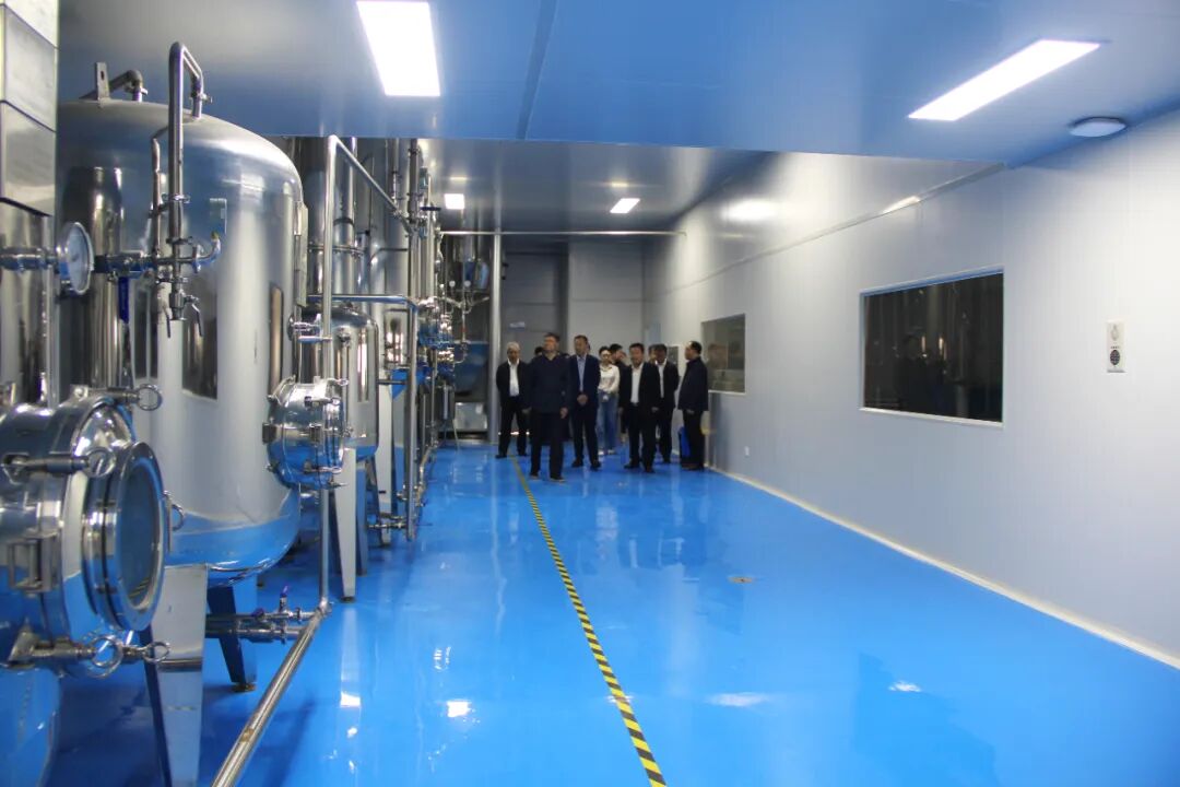 Polygonatum Polygonatum