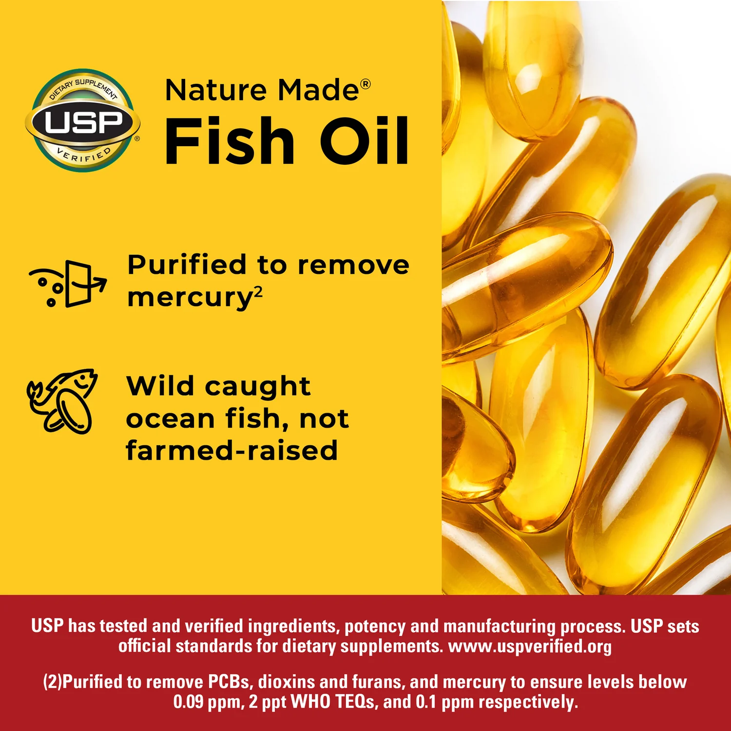 Custom Mushroom Dietary Capsules for US Distributor Success