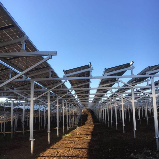 Sistema di scaffalature per montaggio a terra per agricoltura solare