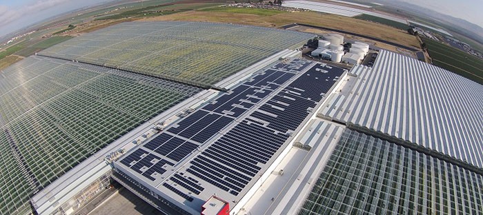 Positief nieuws voor zonnepanelen op daken in Californië in Q2 - tot nu toe