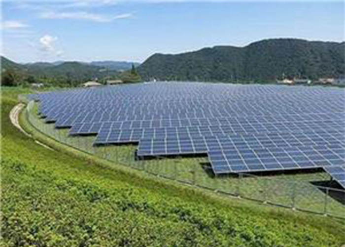 AIE: Energia solar superará energia movida a carvão em 5 anos