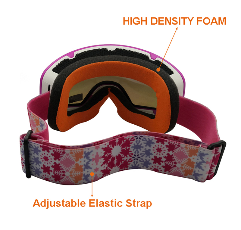 Snow Goggles