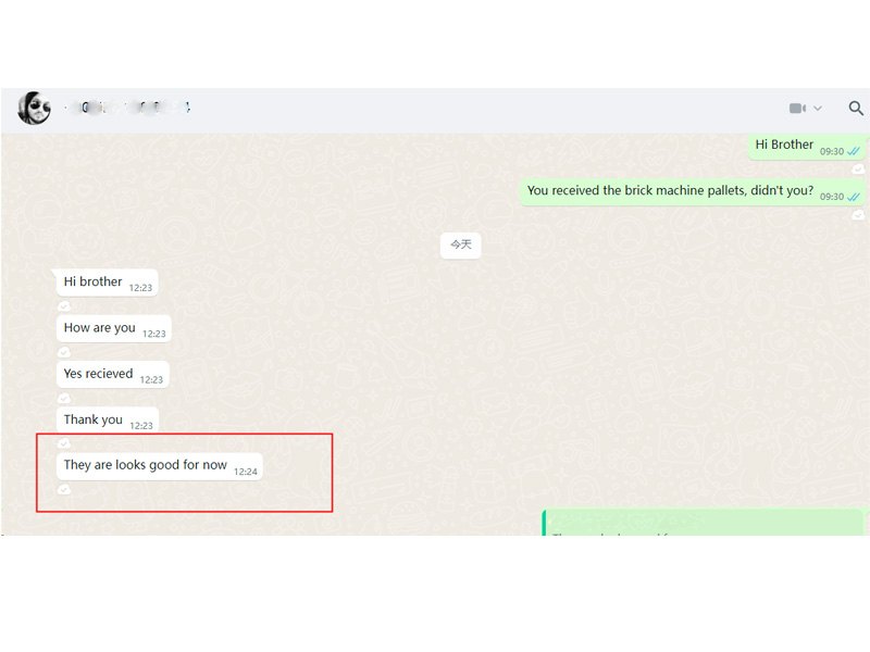 Tanzania Customer's Brick Machine Pallet Receives Positive Feedback