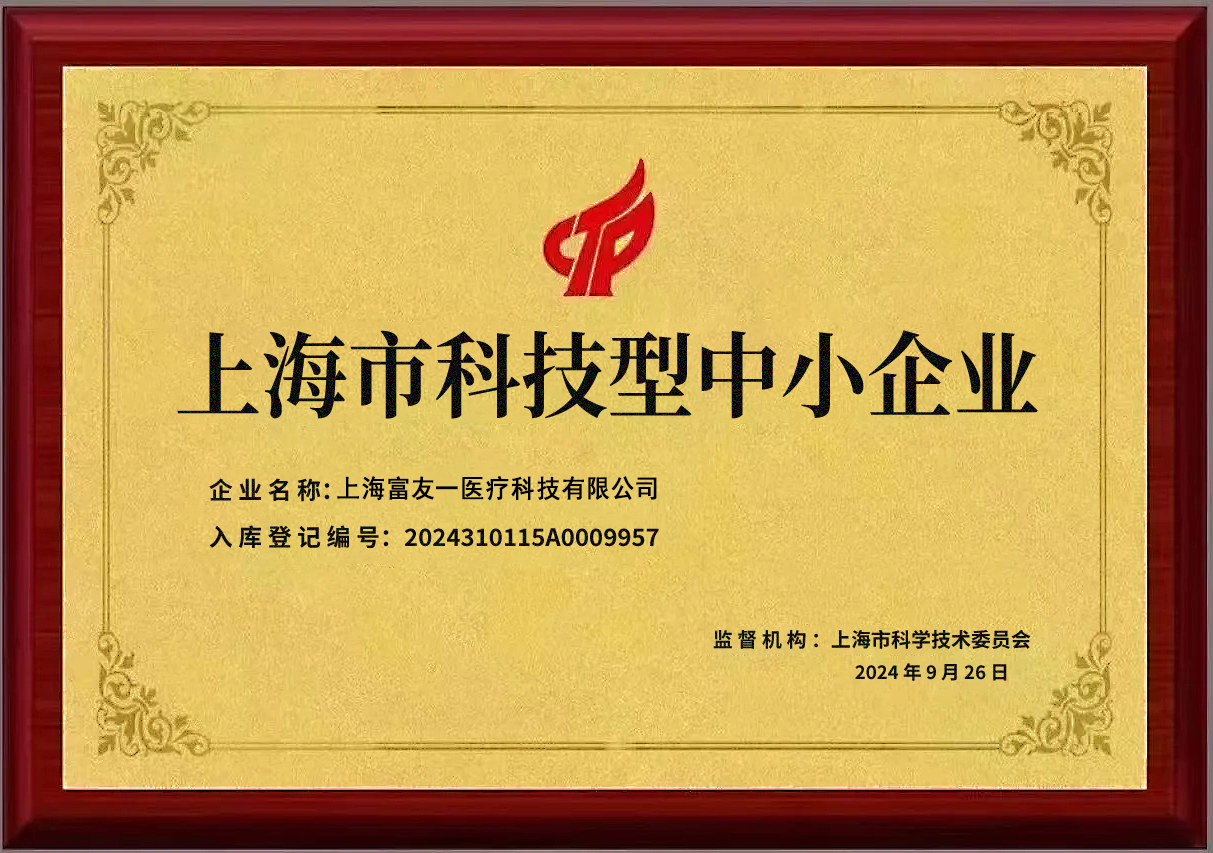 Shanghai Technology-based Small and Medium-sized Enterprise