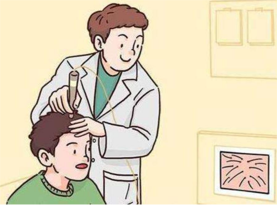 Comprehensive Analysis of Hair Follicle Testing