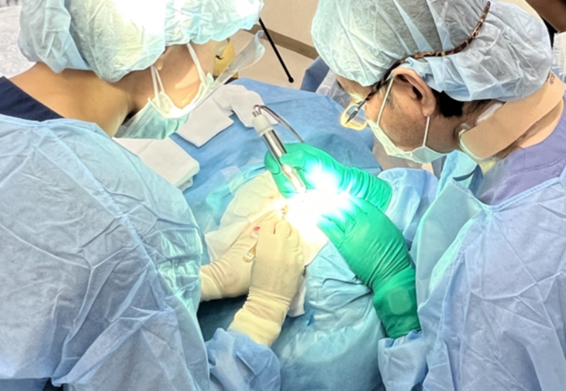 hair transplantation system