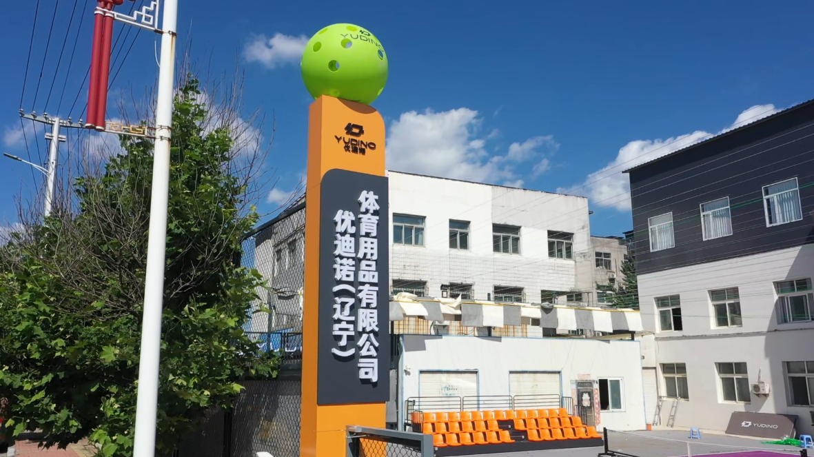 Youth Pickleball Paddle