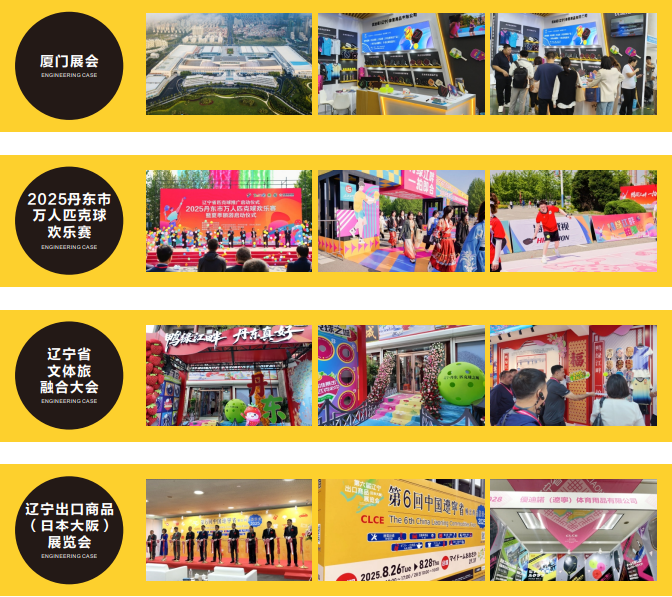 High Performance Pickleball Paddle