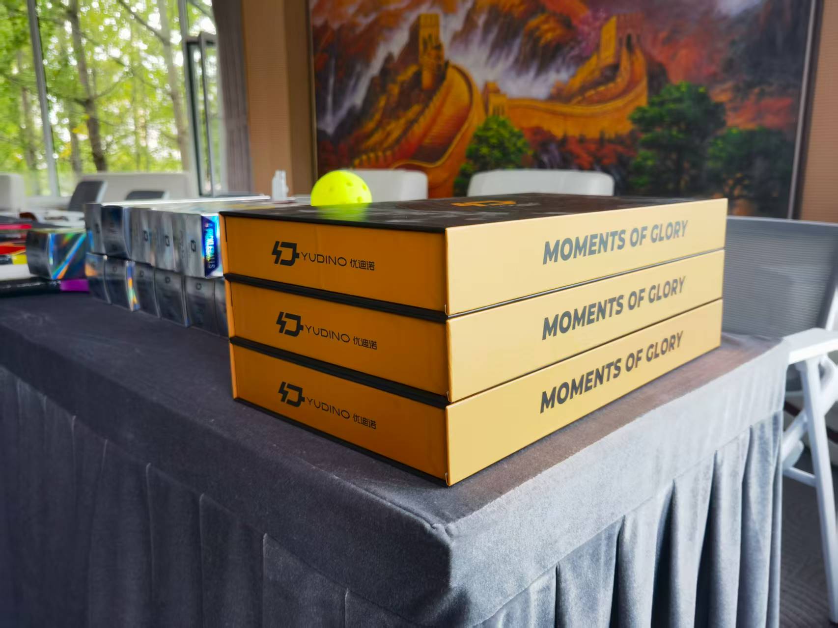 Carbon Fiber Long Handle Pickleball Paddle