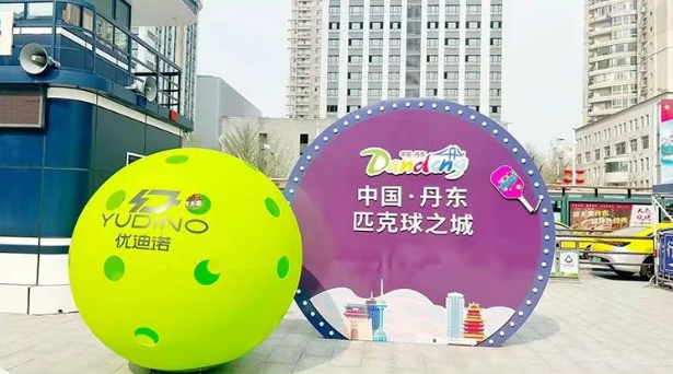 Outdoor Sports Pickleball