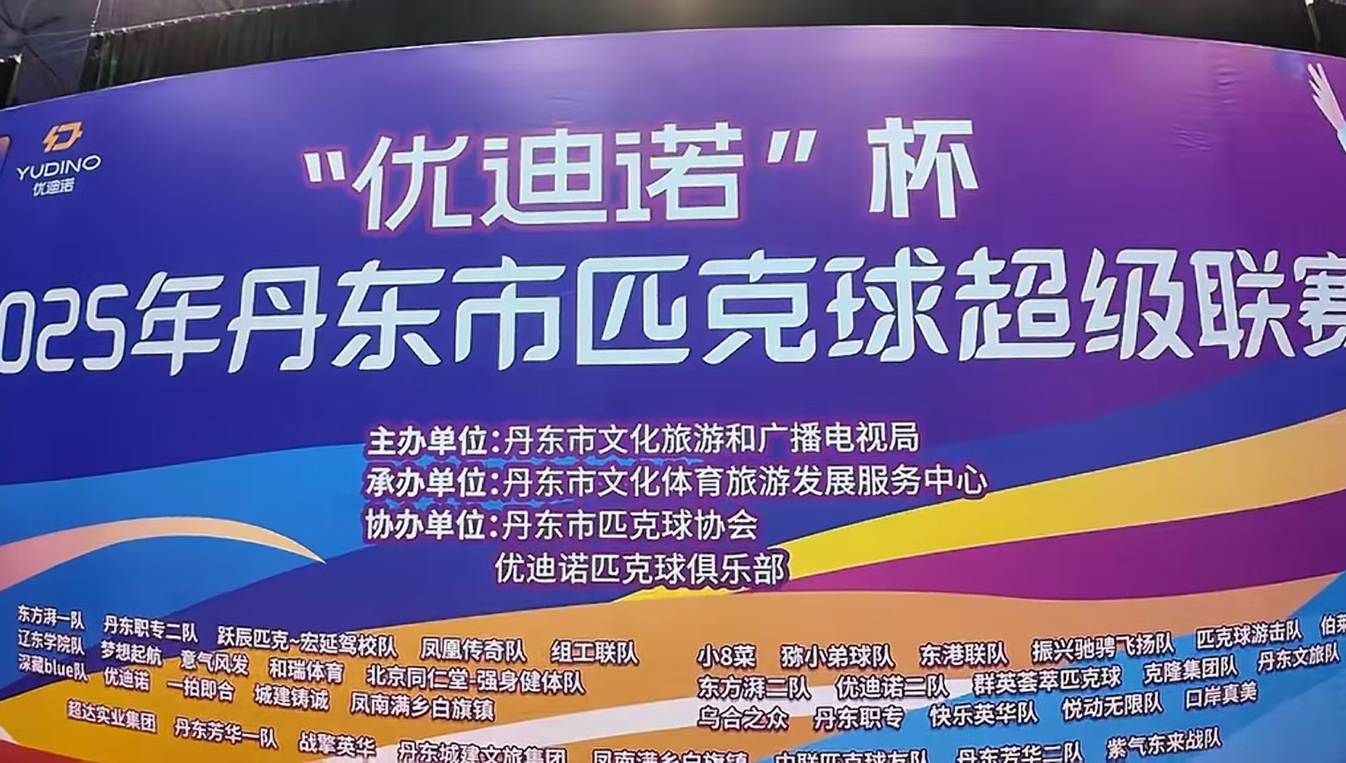 12K carbon fiber pickleball paddle