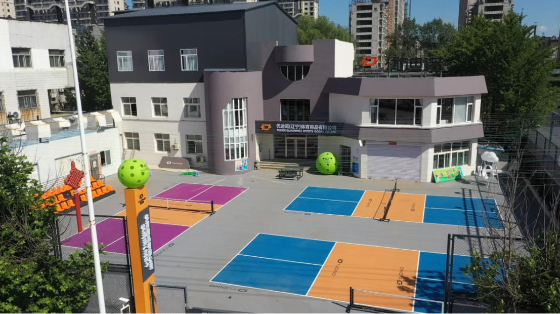 pickleball paddle pickleball paddle