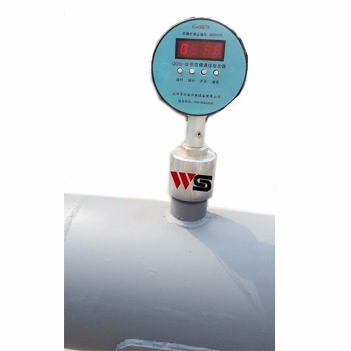 LCD Screen Intrsuive Pig Signaller