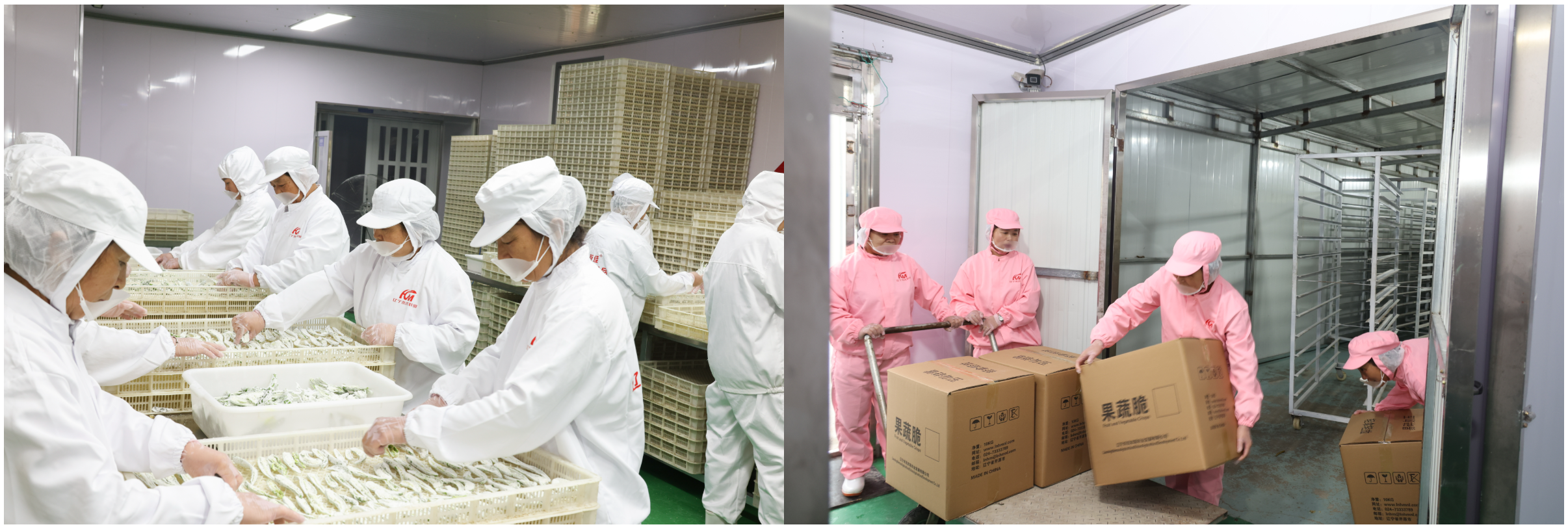 Burdock Chips with Seaweed Flavor